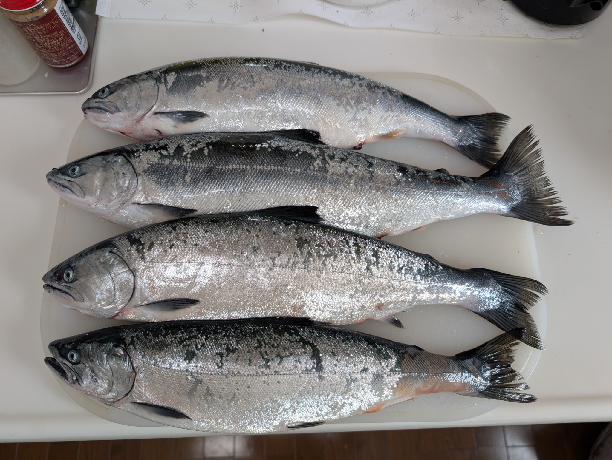 サクラマスで鱒とばを作ろう! / fish-eaters